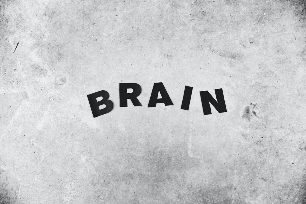 Brain