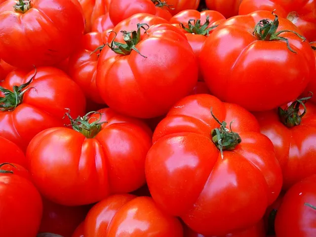 Tomato 
