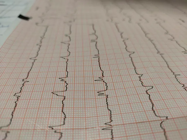 Heart