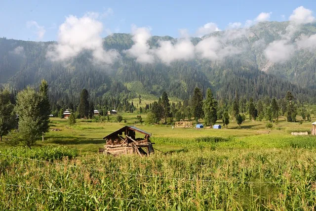 Pulwama