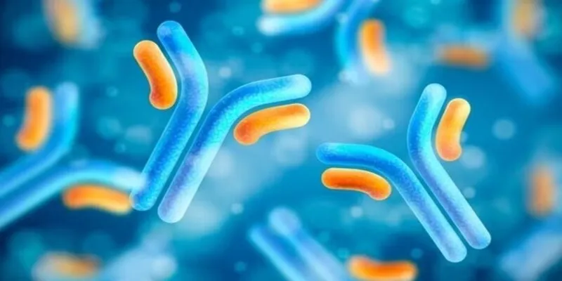 Candida Auris