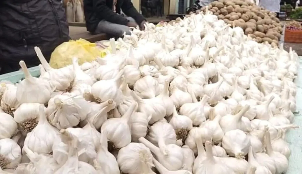 Garlic Price 