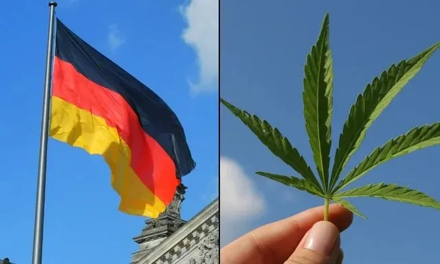 cannabis