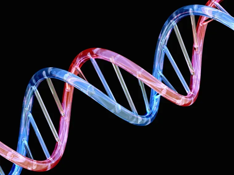 DNA