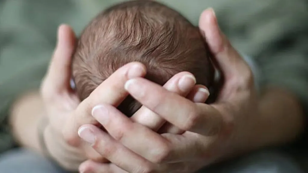 fertility rate