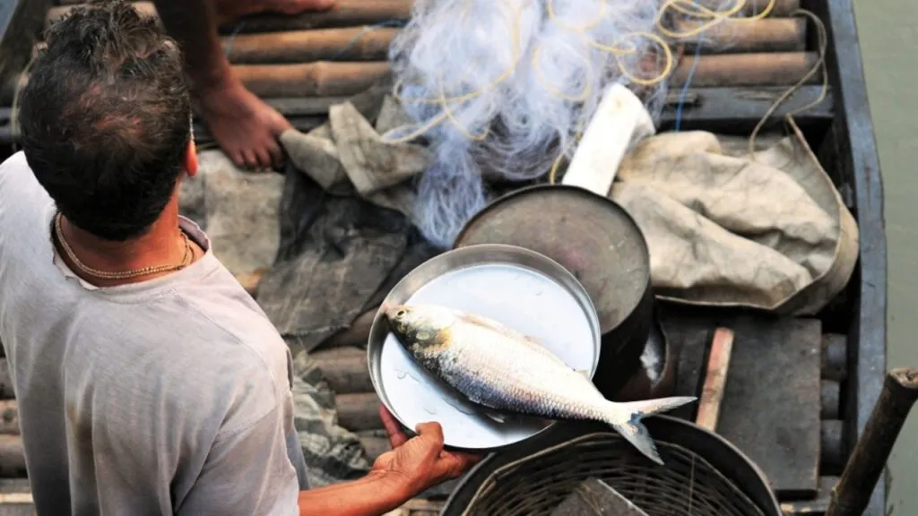 sea food