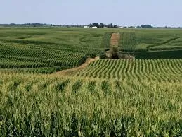 50 lakh large farmland