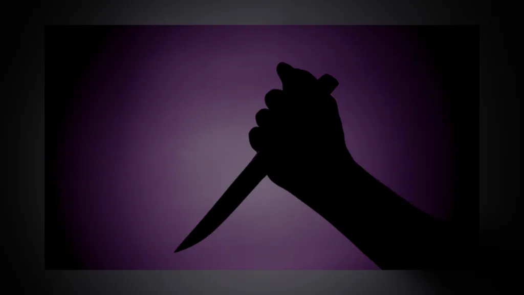 fatally stabbing