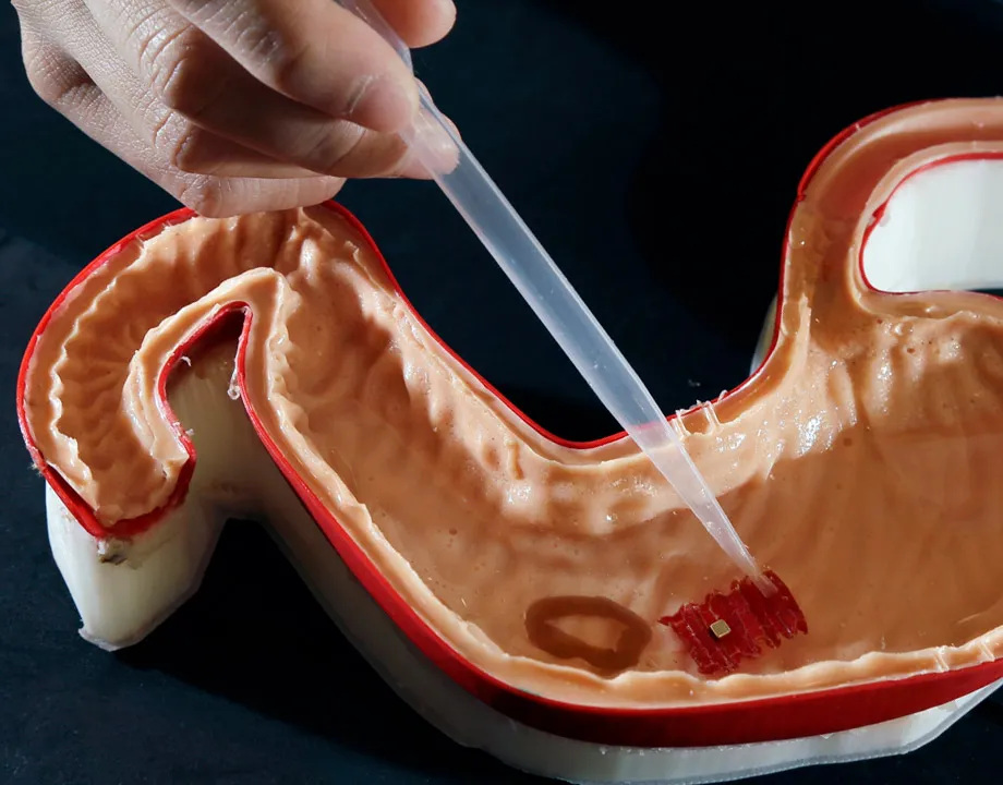 Edible Robots
