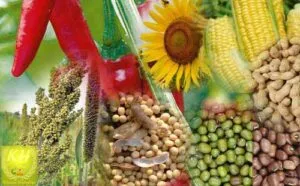 14 Kharif crops