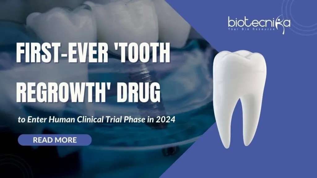 tooth