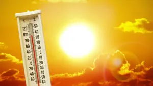 heatstroke cases