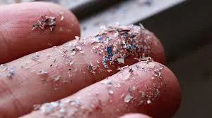 microplastic in human