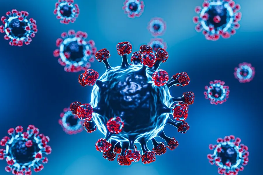 Wetland Virus