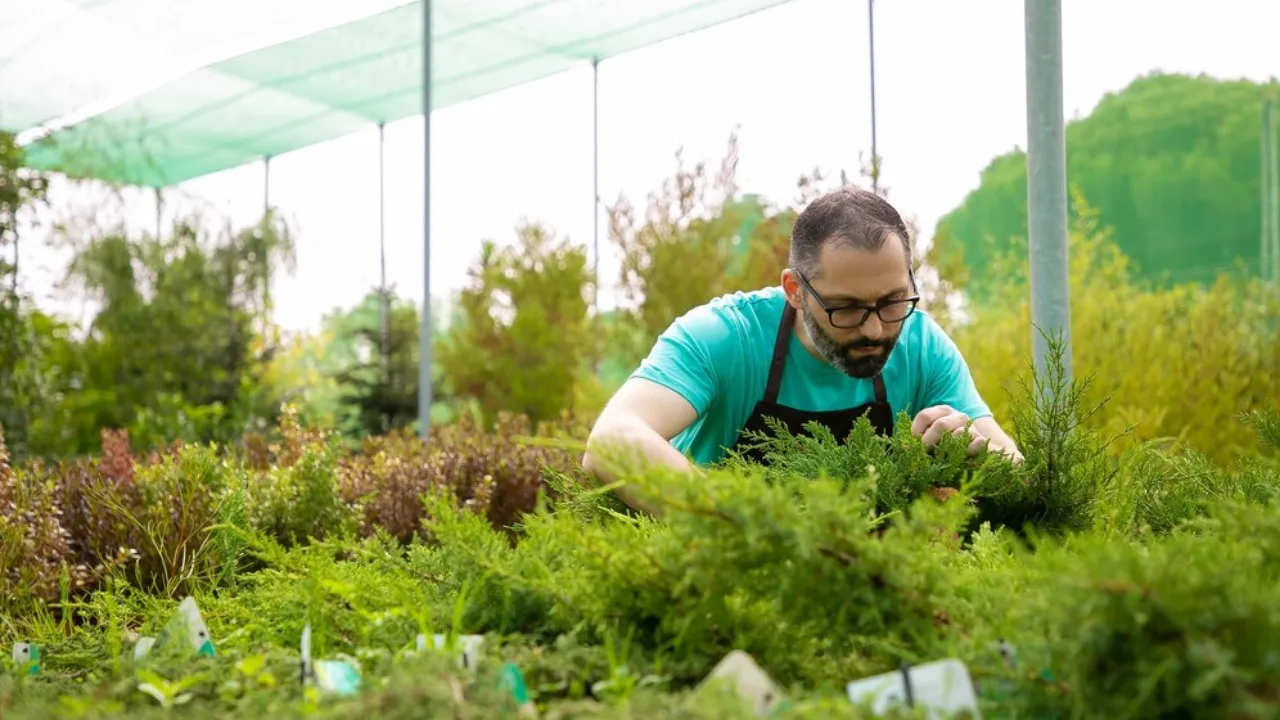Organic Farming Business