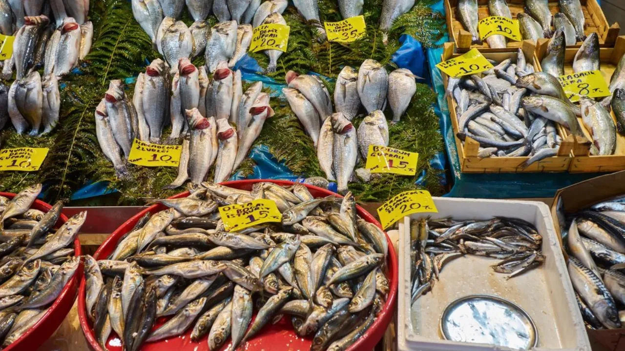 Fish Retail Business