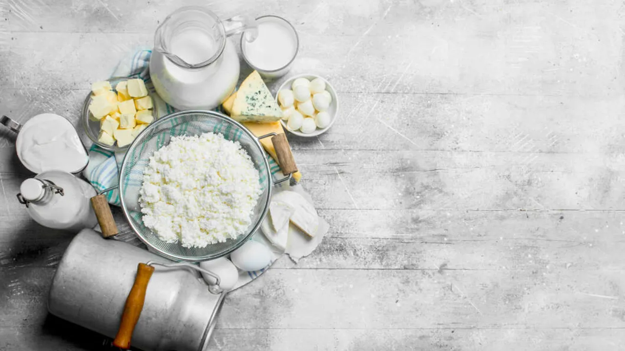 Dairy Products Business