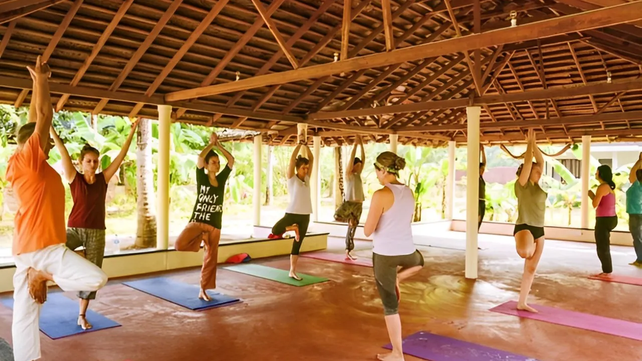 YogaMindfulnessMeditation Centre