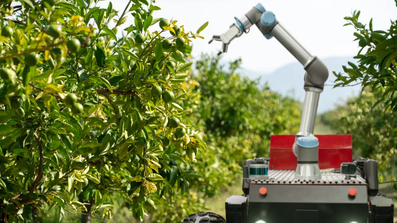 Agricultural Robots