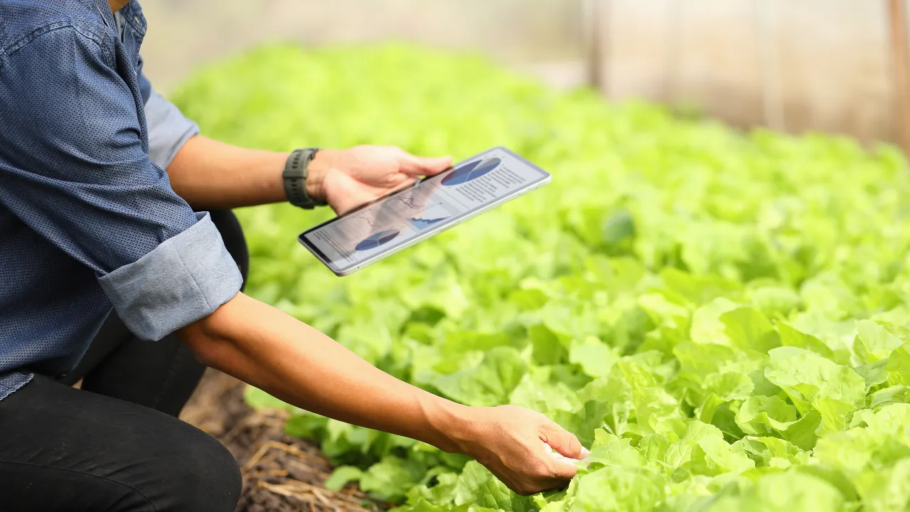 Crop Health Monitoring
