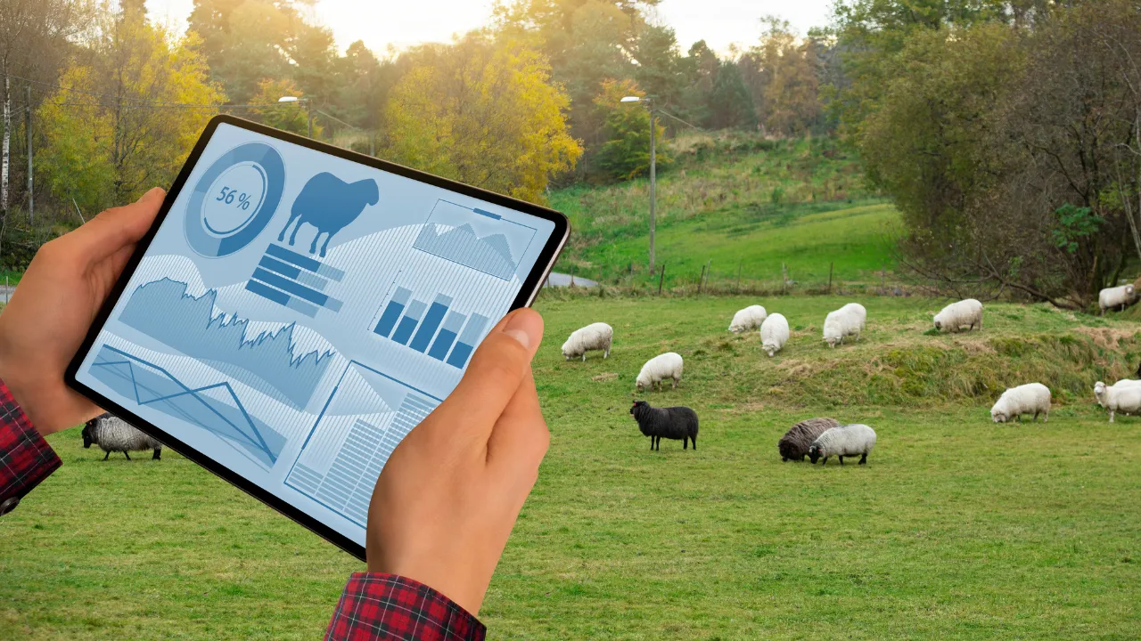 Livestock Management