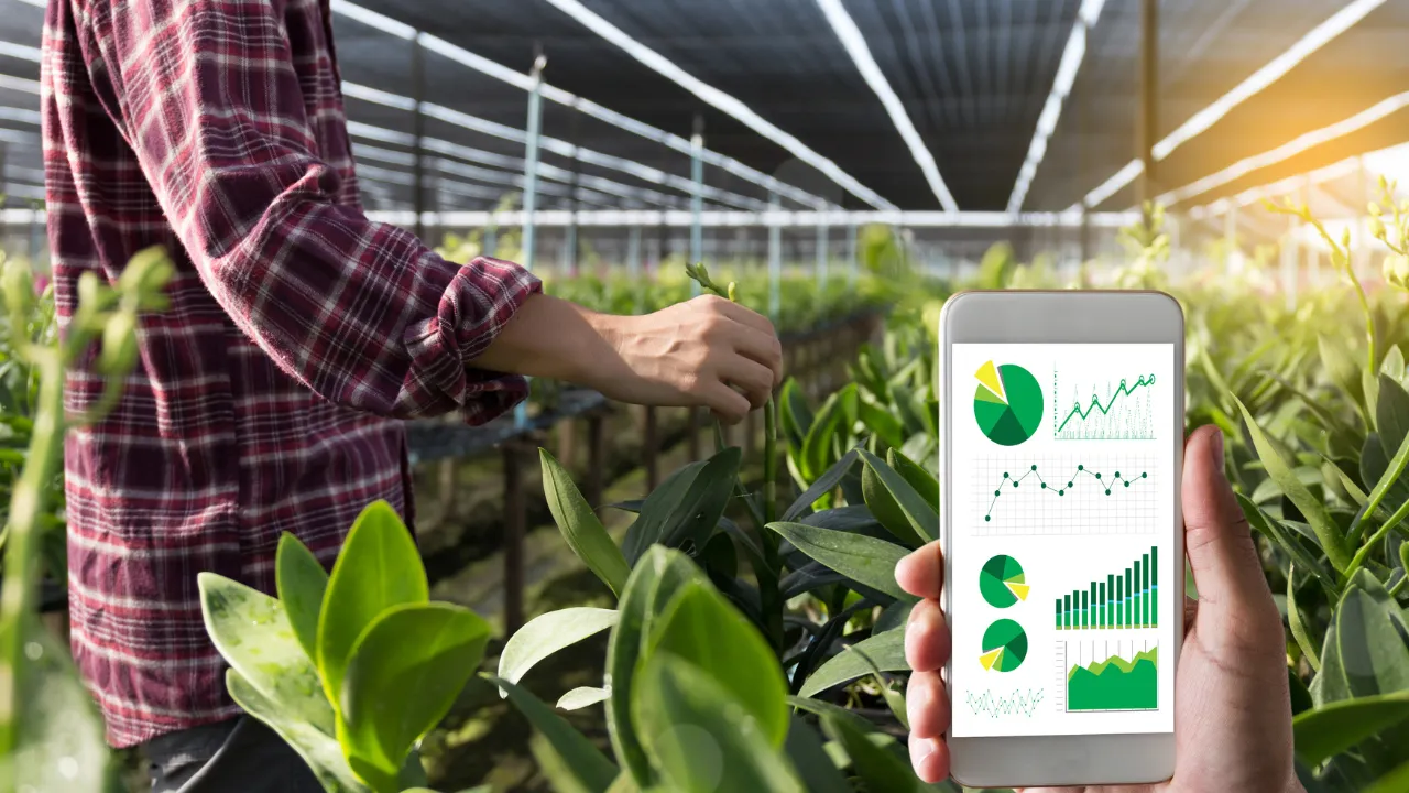 artificial intelligence applications in agriculture