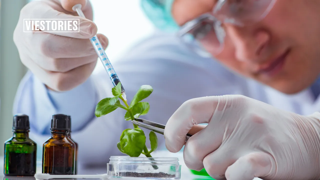 Biotechnology advancements in healthcare