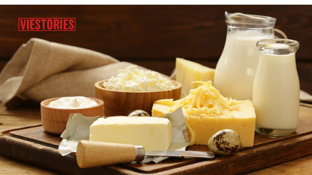 Start a Dairy Products Business