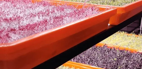 Agritech Startup