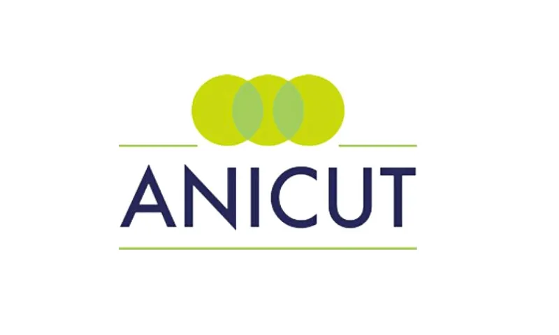 Anicut Capital