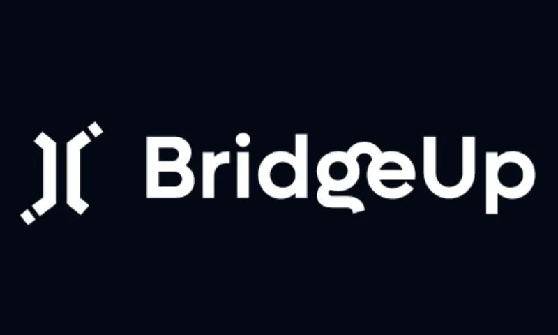 Fintech platform BridgeUp