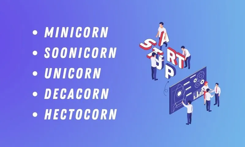 What are the titles like Minicorn, Soonicorn, Unicorn, Decacorn, Hectocorn