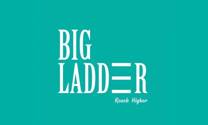 Big Ladder - A Platform for Communication Coaching, Training and Mentoring Services