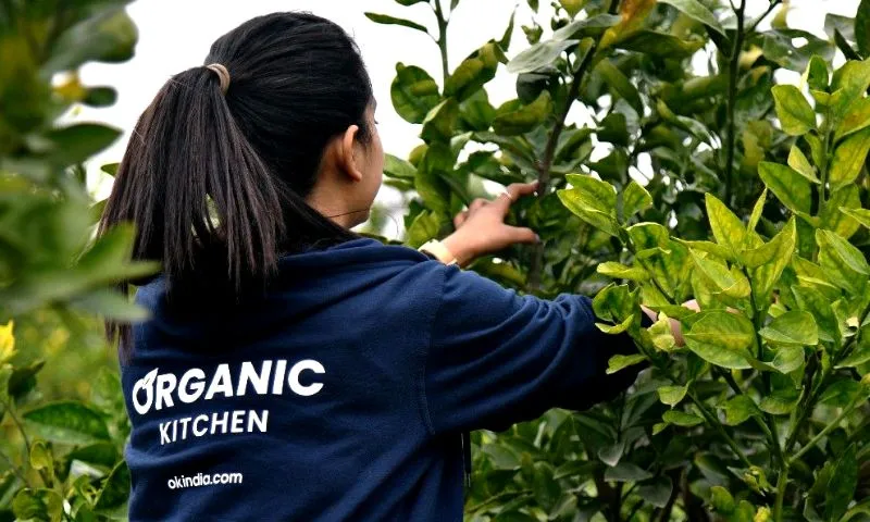 Organic Kitchen, a traceable Organic Food Startup has raised $1 million in its seed funding round from a clutch of prominent angel investors, including Siddharth Chaudhary, Abhishek Dhaka, and Nitin Sahjwani.