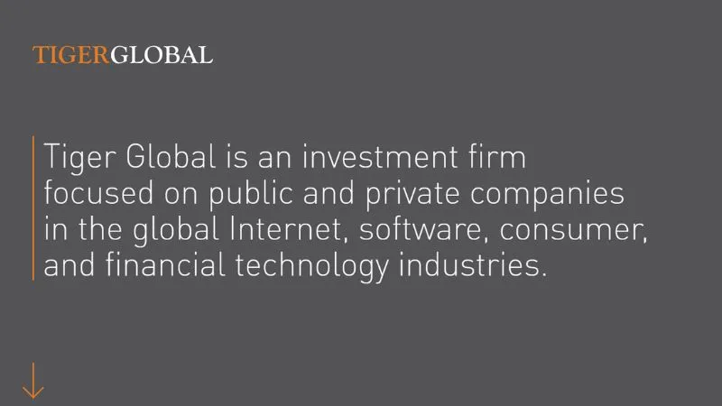 Top 10 Venture Capital Firms in Indian Startup Ecosystem | Tiger Global Management
