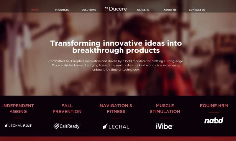 The company Ducere Technologies specialises in creating cutting-edge and unique wearable technologies. Lechal, the first pair of haptic shoes in the world, is the company's main offering that helps the blind navigate by using haptic input.