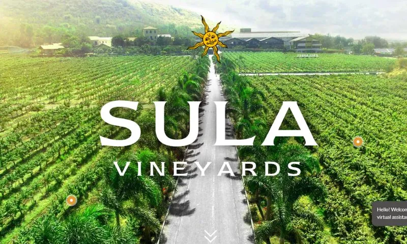 With its opulent vineyard properties like The Source at Sula, Beyond by Sula, and The Tasting Room, all of which are located in Nashik, Sula Vineyards is renowned for being the first to introduce wine tourism to India.