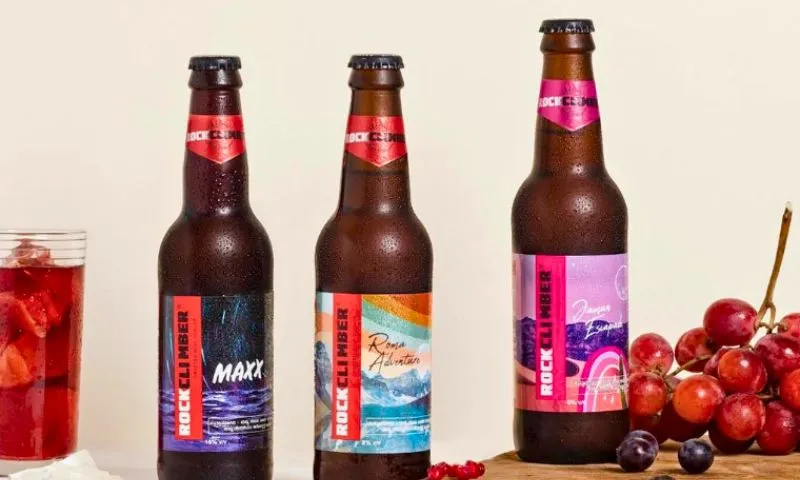 Bira91, Moonshine Meadery, Fruzzante, White Owl, The Rockclimber, Svami, Brewbot, Stranger & Sons, & Sula Vineyards are the Top 10 Best AlcoBev Startups in India in 2024.