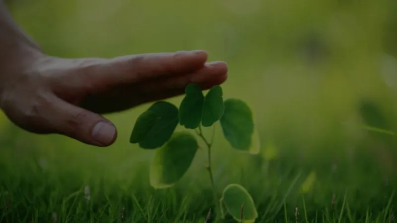 Saving money in the right places is not only good for your wallet - it's also good for the environment. And you don't even have to be short of cash to do it. So you have more to invest in online litecoin casino.