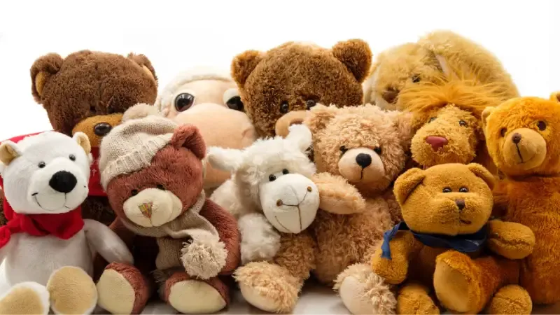 Toy rental is one of the fastest-growing business industries. To run this business you have to set up a small ecommerce site where customers place orders. you have to deliver the toys to the customers' door. 