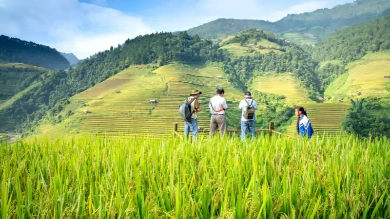In rural India , Agri- tourism is emerging as a promising business opportunity that takes advantage of people's growing need for real experiences. Communities can diversify their sources of revenue by inviting tourists to tour their farms and by providing interactive seminars and rural immersion. 