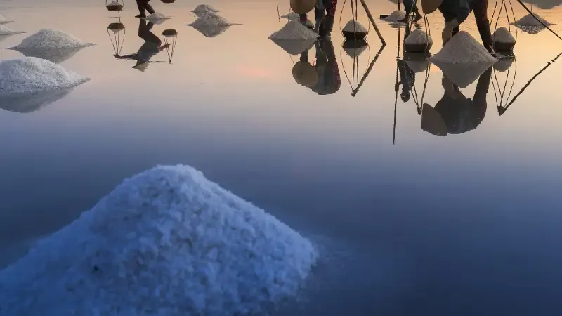 White translucent powder salt that has been iodine fortified is known as iodized salt. Those who consume enough iodised salt can easily avoid developing iodine related weakness. 