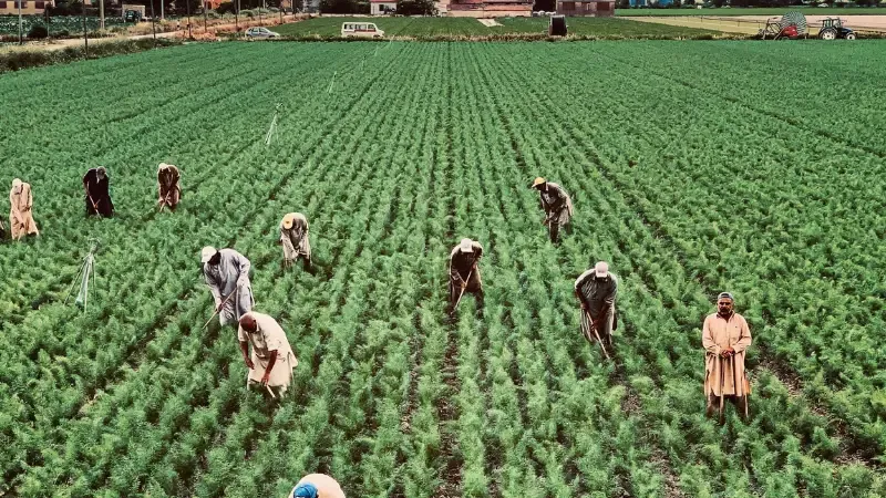 In rural India , organic farming has a lot of promise because of the growing customer demand for healthy and environmentally friendly products. Communities can benefit from the growing demand for organic produced by growing crops without synthetic fertilizers or pesticides.