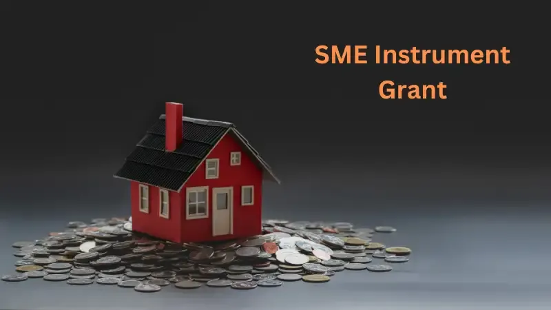 SME Instrument fund shines as a beacon of aid for smaller and medium-sized enterprises with ambitious goals.