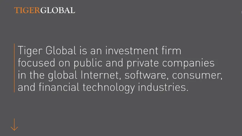 Top 10 Fintech Investors in India | Tiger Global
