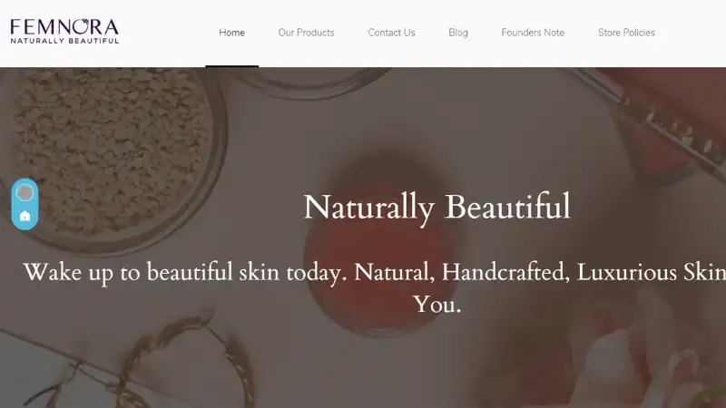 Top 10 Home-Grown Cosmetics Brands in India | Wild Earth (FEMNORA)