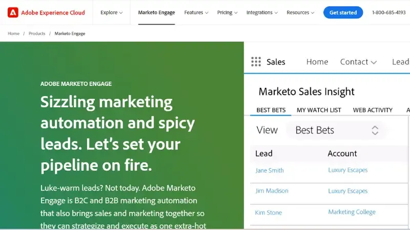 Marketo is one of the highly professional digital marketing websites. The platform provides various information and guides to be shared with the users through which all the essential techniques to become a professional digital marketer.