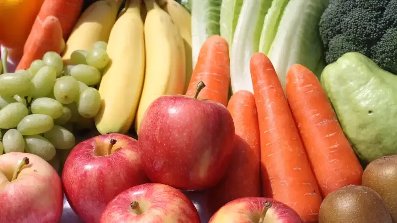 With a constant rise in demand, the market for organic fruits and vegetables has been expanding over time. This is a great chance if you are looking for business concepts for a tiny community. Organic farming won’t be challenging because there are plenty of agricultural grounds available to people in villages. 