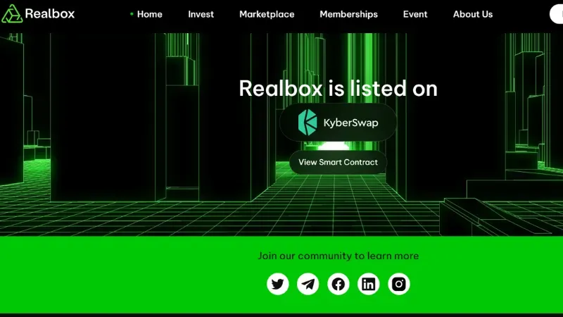 Realbox - Noida-based analytics platform