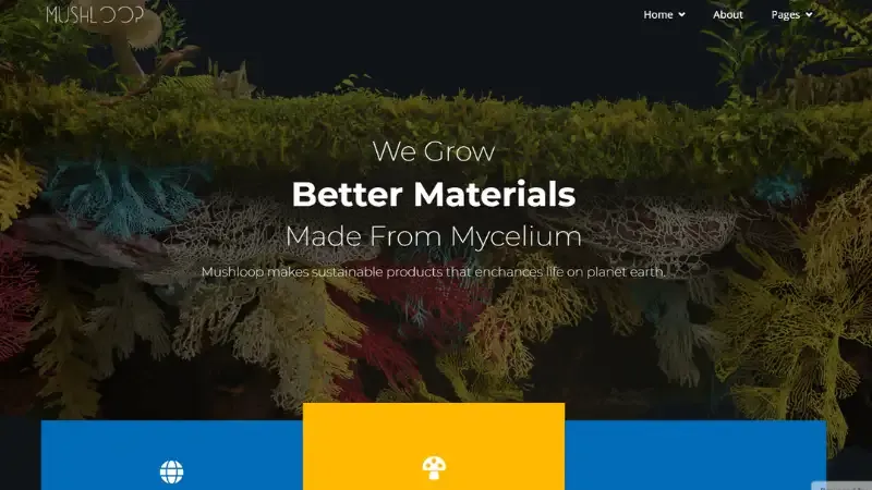 Top 10 Sustainable Packaging Startups in India | Mushloop